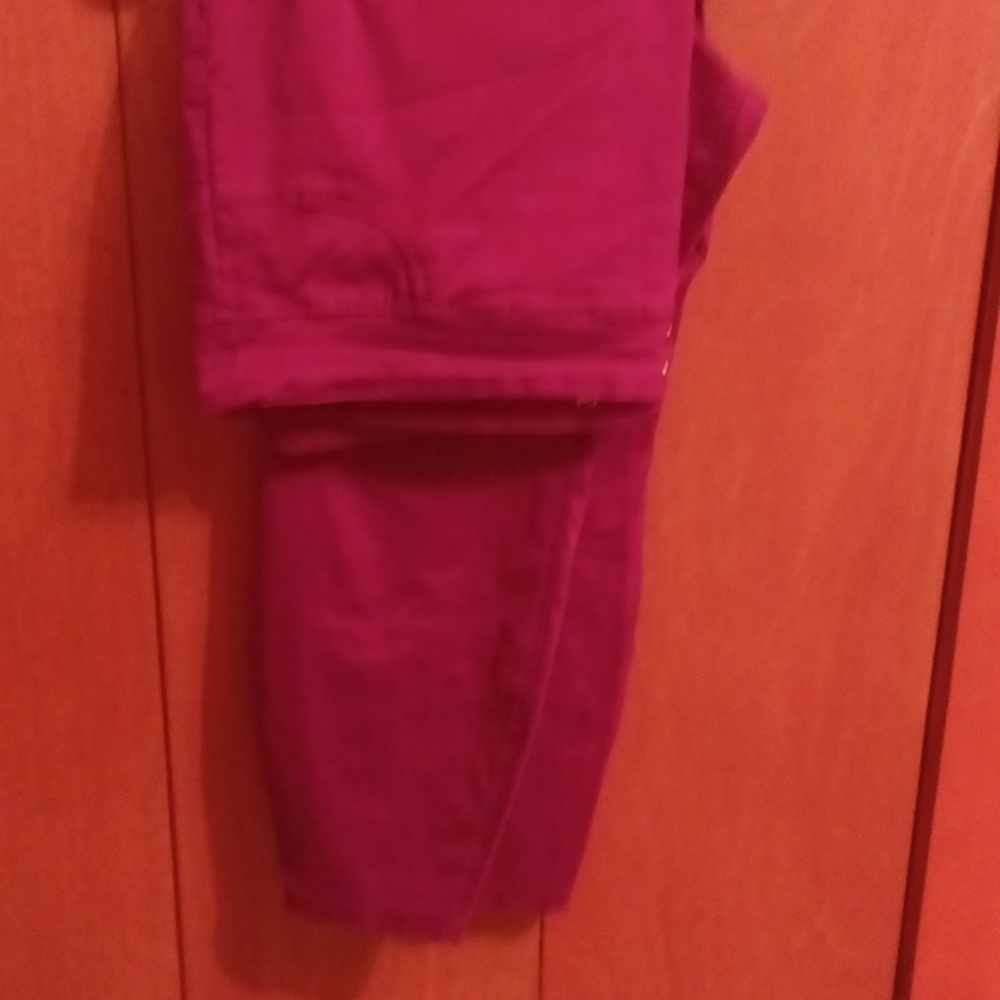 Burgandy Jeggings